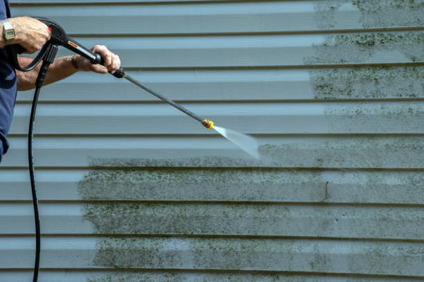 Best Roof Washing  in Pitola, CA