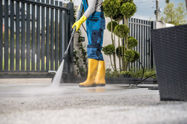 Best Pool Deck Cleaning  in Pitola, CA